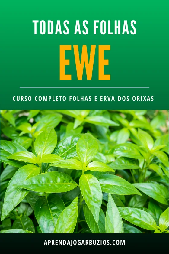 Capa do material Todas as folhas: curso completo de folhas e ervas dos orixás