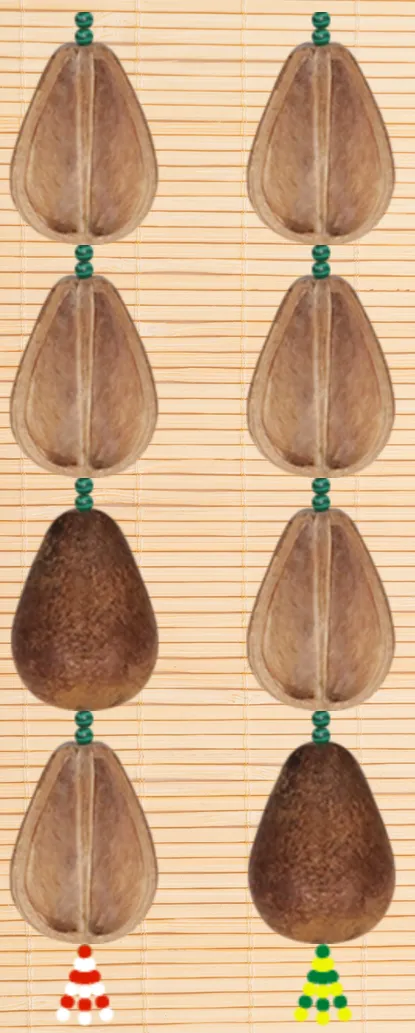 O Òpèlè inteiro: as oito favas nas duas pernas